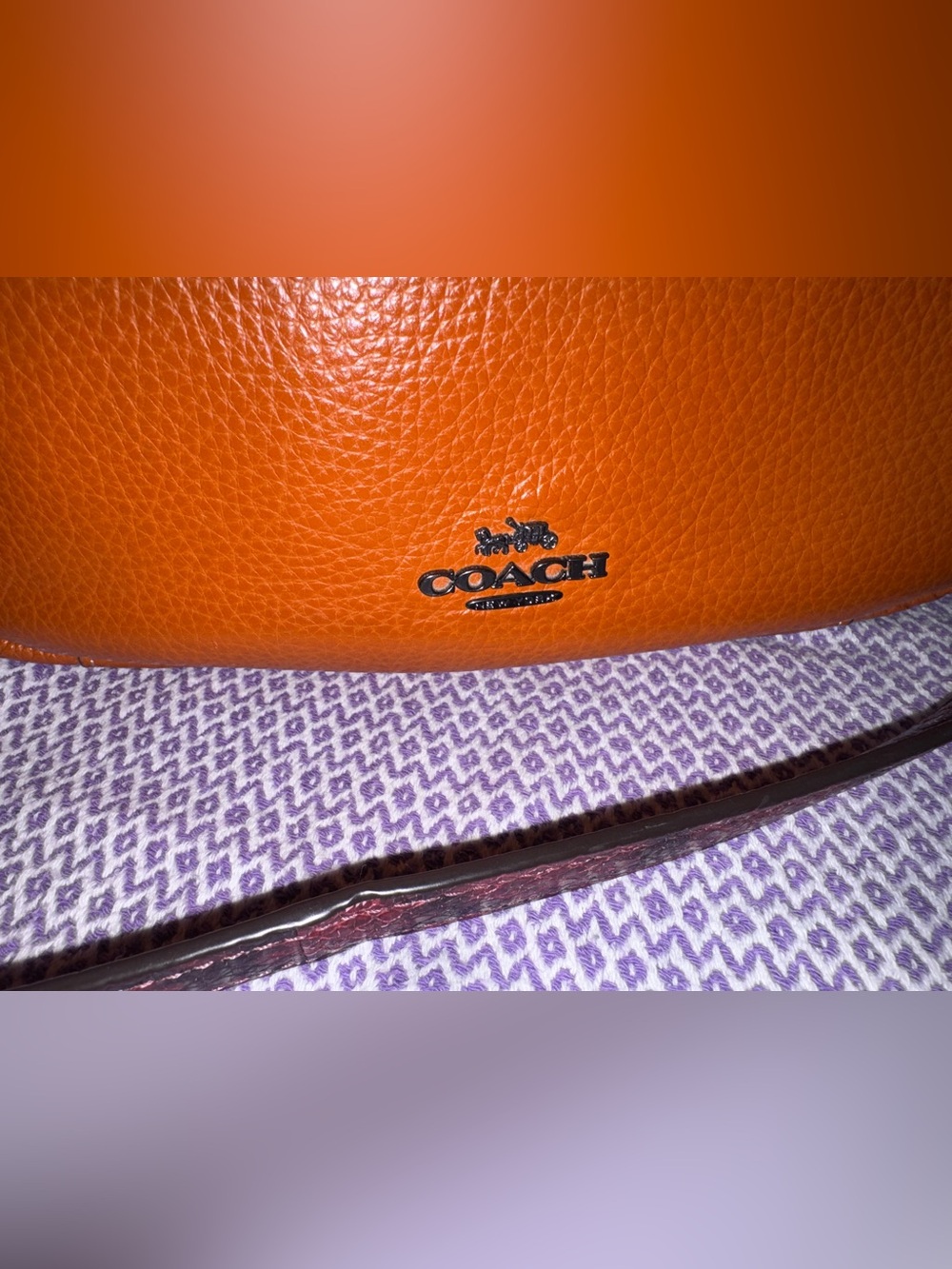 Coach Jules Hobo bag in Sunset pebble leather, featuring snake-embossed straps - Picture 3 of 8